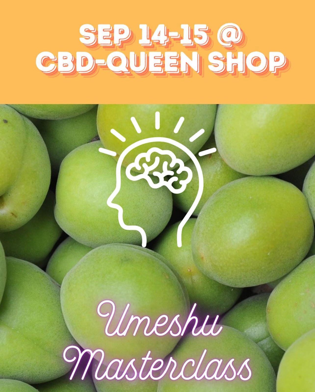 Ticket for Sep 14th 12PM Umeshu Masterclass